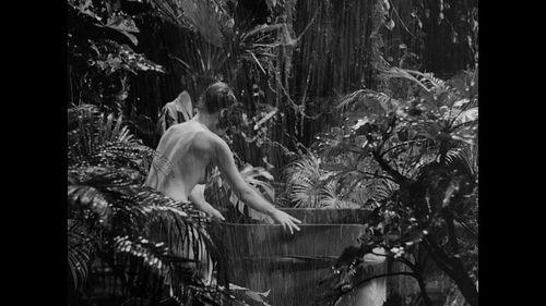 安纳塔汉 在线观看,安纳塔汉生存传奇在线观看